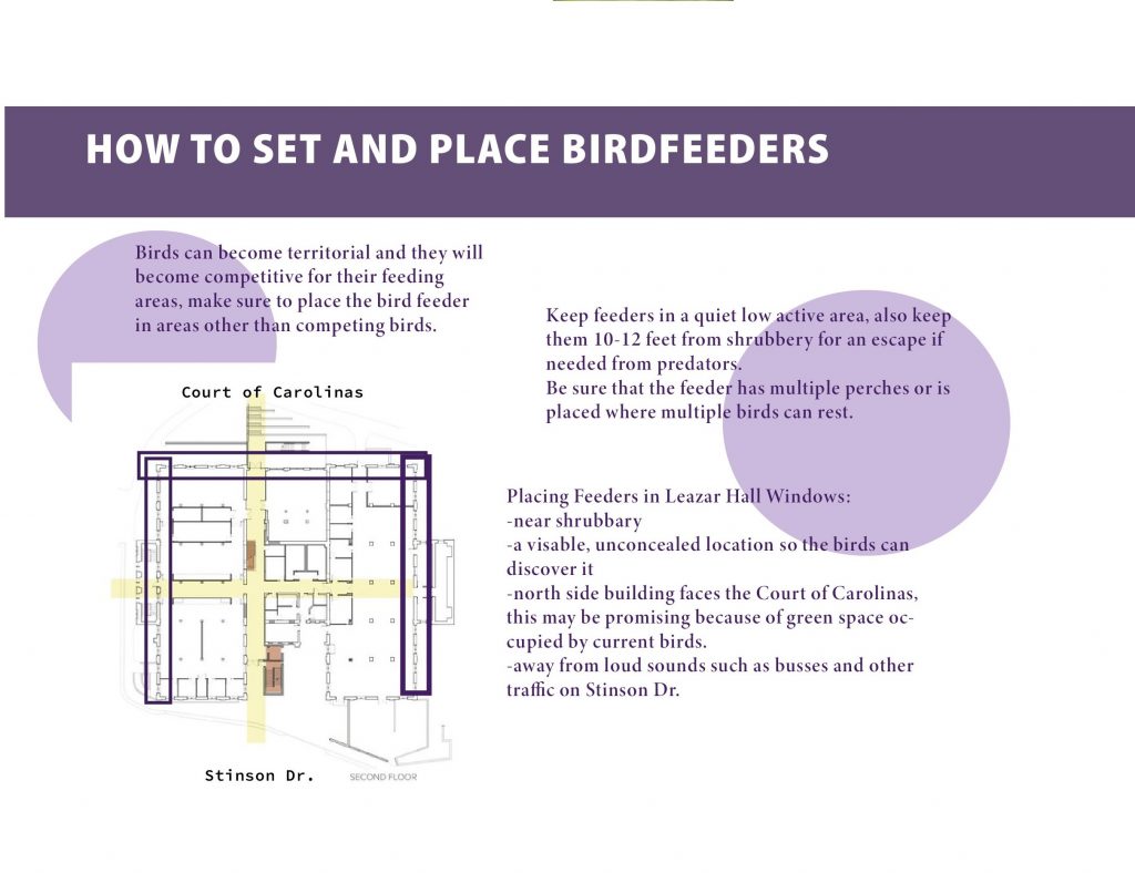 birdfeeder-inforgraphics (3)