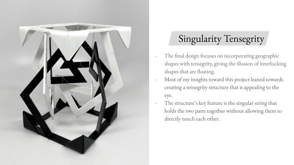 Read more about the article Singularity Tensegrity_Jeanette