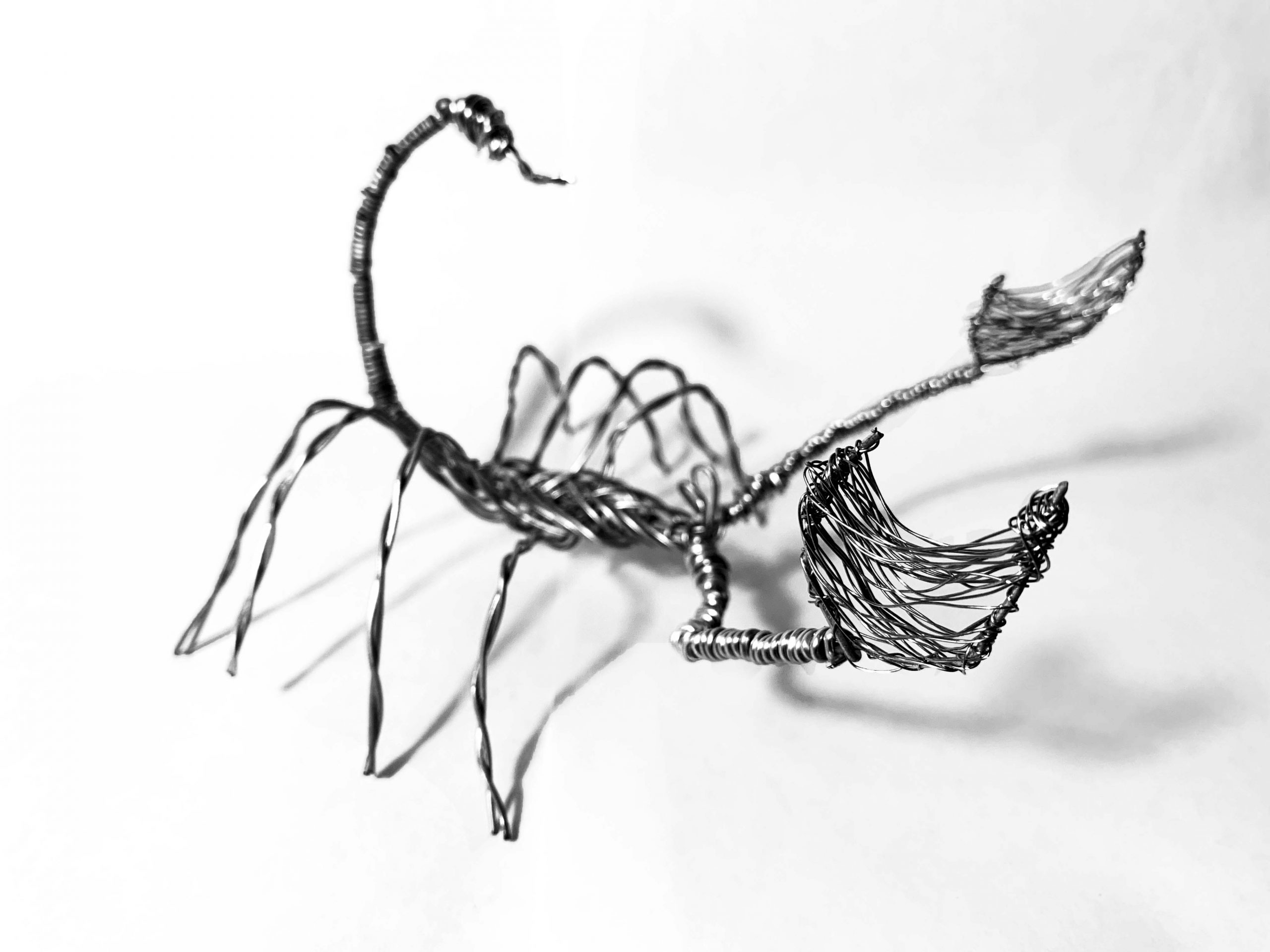 Read more about the article Scorpion