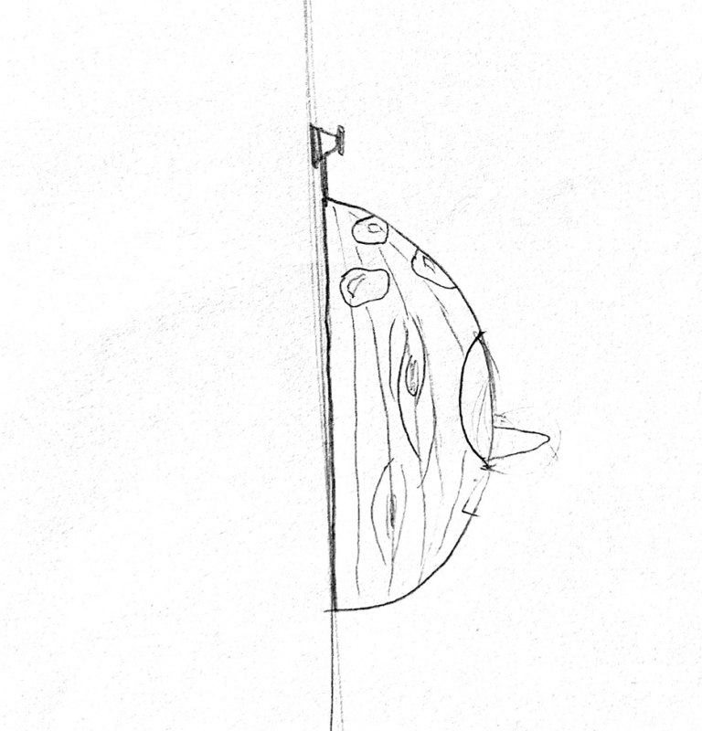 Side View