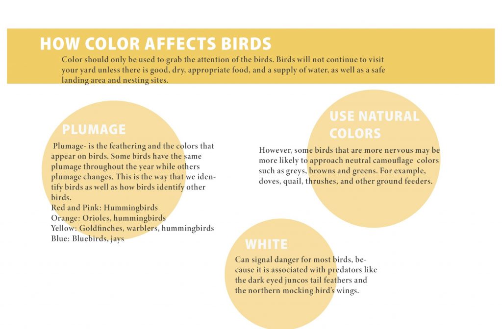 birdfeeder-inforgraphics (4)